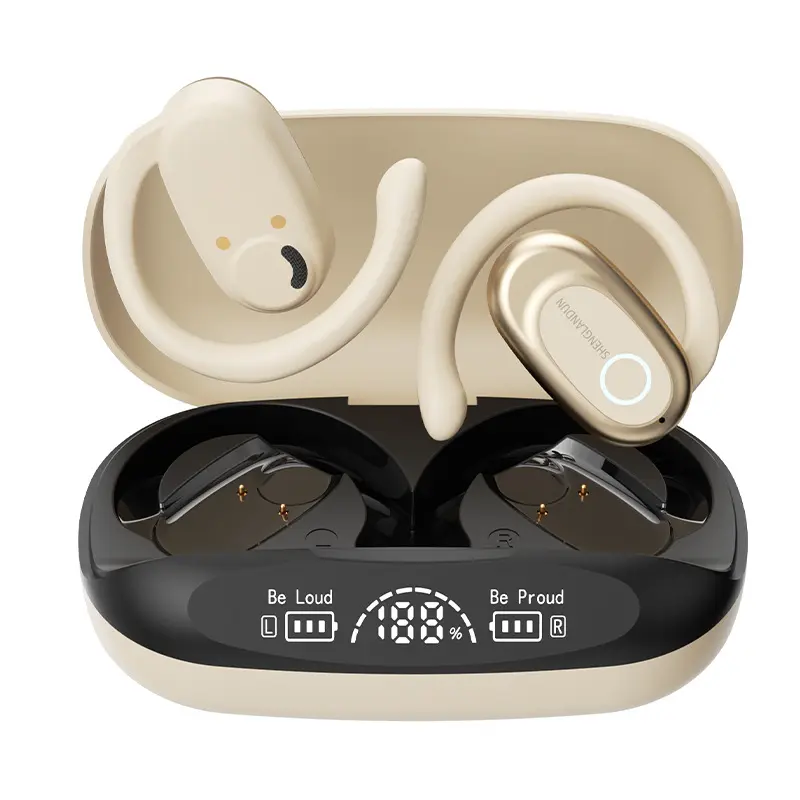 A300 Ear-Hook Sports Earbuds